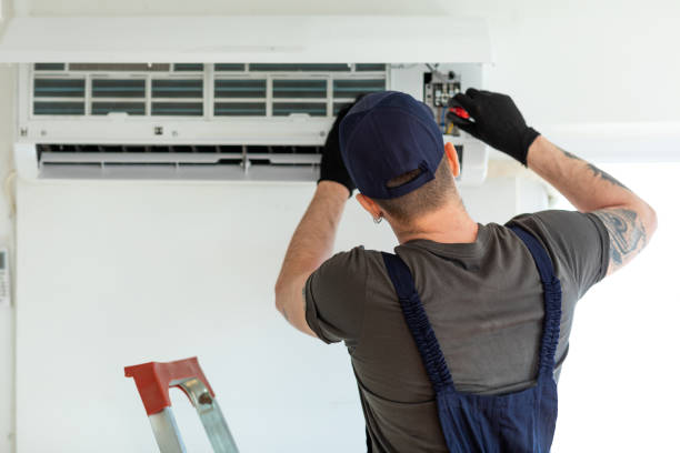 Best Air Duct Mold Removal  in Sebewaing, MI