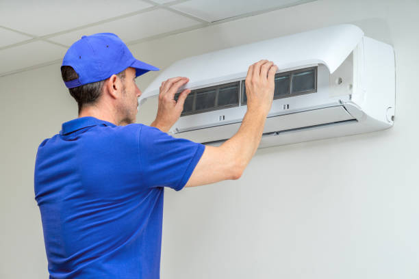 Best Professional Duct Cleaning Services  in Sebewaing, MI